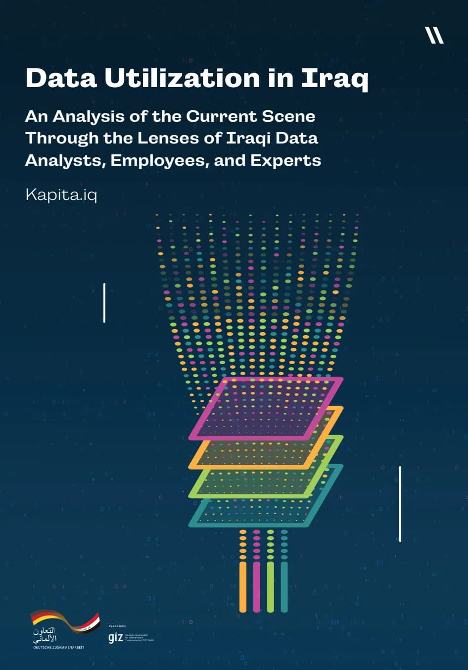 Data Utilization in Iraq: An Analysis of the Current Scene Through the Lenses of Iraqi Data Analysts, Employees, and Experts